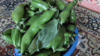 新豆が旬
