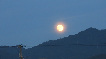 丸～いお月