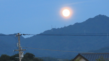 丸～いお月