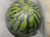 頑張る