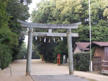 コロナ退治