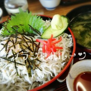 しらす丼★さぬき市津田の三宝