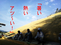 ★今週末の予定