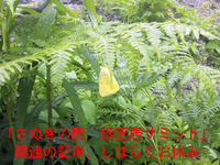 「さぬきの国　紙芝居サミット」関連の記事、しばらくひと休み（笑）