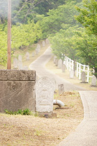ミニ八十八か所巡り