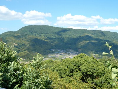 朝日山の景色と百日紅！