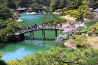 明日は栗林公園お花見パーティー！