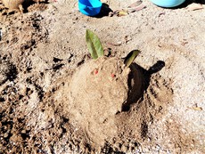 2/28今日の広場☆０歳からの公園あそび♪
