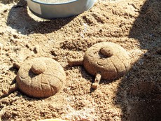 2/28今日の広場☆０歳からの公園あそび♪
