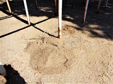 2/28今日の広場☆０歳からの公園あそび♪