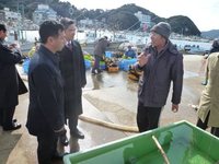 新鮮な魚と塩ワカメ「おいしい＆ヘルシー」答志島