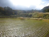 奥出雲町の自然農　悦ちゃん農園へ！
