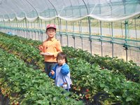 今日もいちご狩り楽しかったね！
