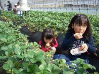 今日も春爛漫！！