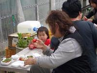 「わんちゃん」もいちご狩り参加です！！