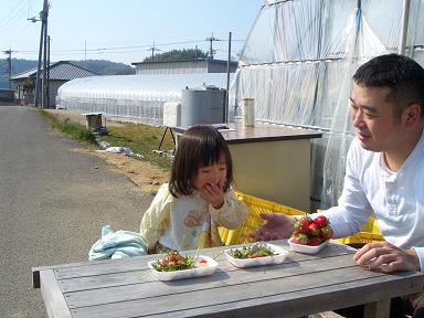 ほのぼの　いちご狩り！！