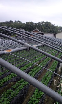 冬の準備です
