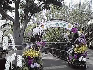 Flower　Park　とっとり花回廊