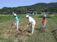 職業と結婚