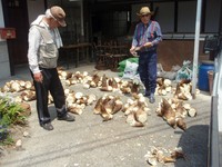 まだまだお元気７０代！