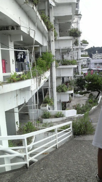 高知の沢田マンション