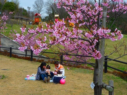 東大寺二月堂のお水取り・・・